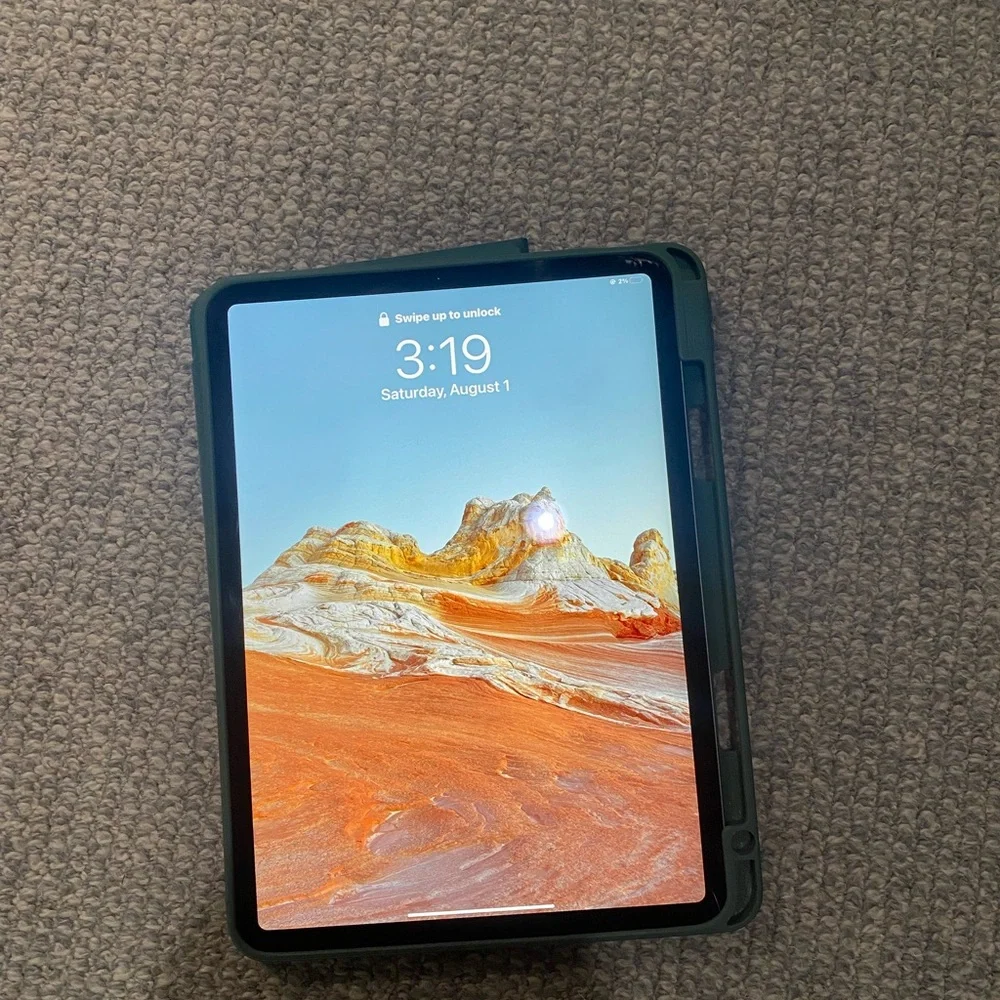 Apple iPad Pro with case